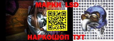 спиды Новодвинск