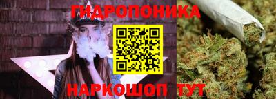 соль ск Наро-Фоминск