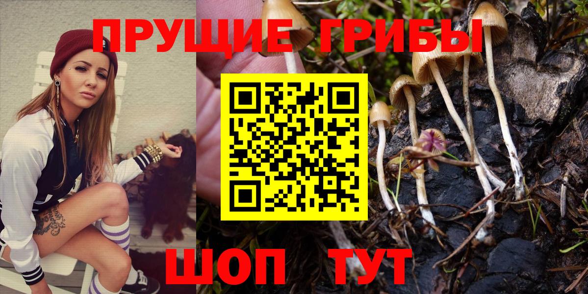 Псилоцибиновые грибы Magic Shrooms Серов
